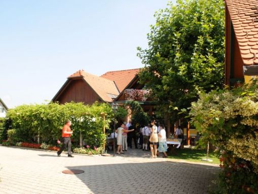 Familie Stocker Weinbauer in Stallhofen (knapp 4 ha Weingarten)