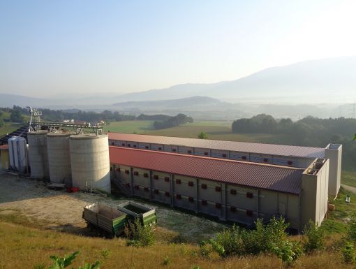 Franz Tatschl, Landwirt in St. Paul im Lavanttal